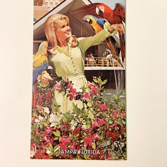 Vintage 1960s Busch Gardens Tampa Florida Wildlife Brochure Travel Brochure - Picture 9 of 10